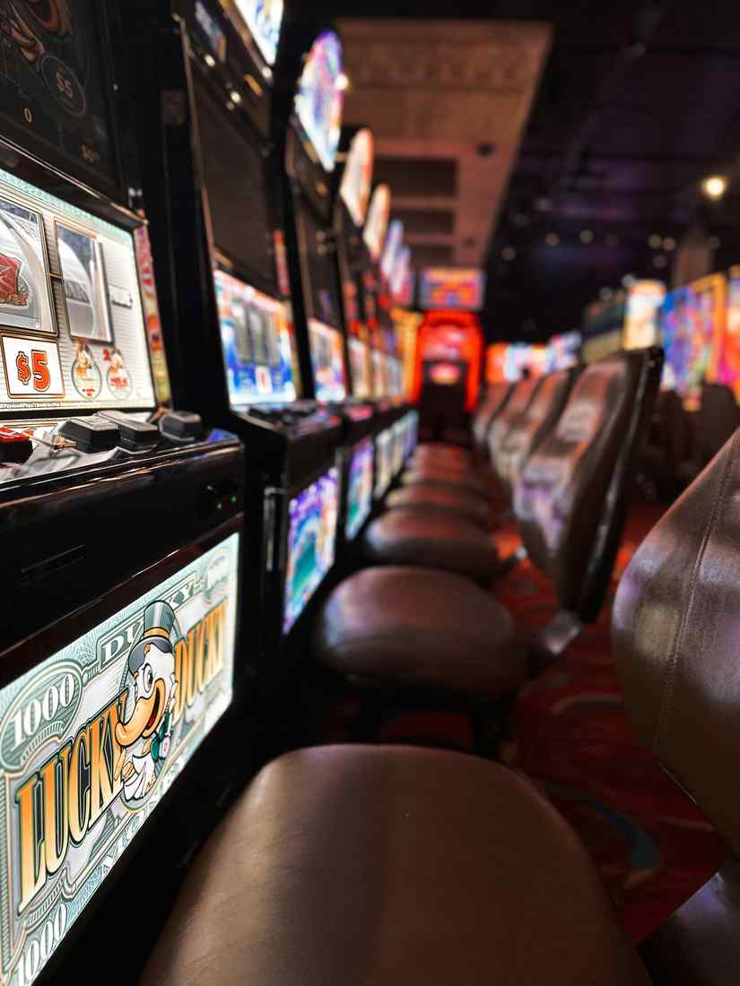 wildcard-casino.com